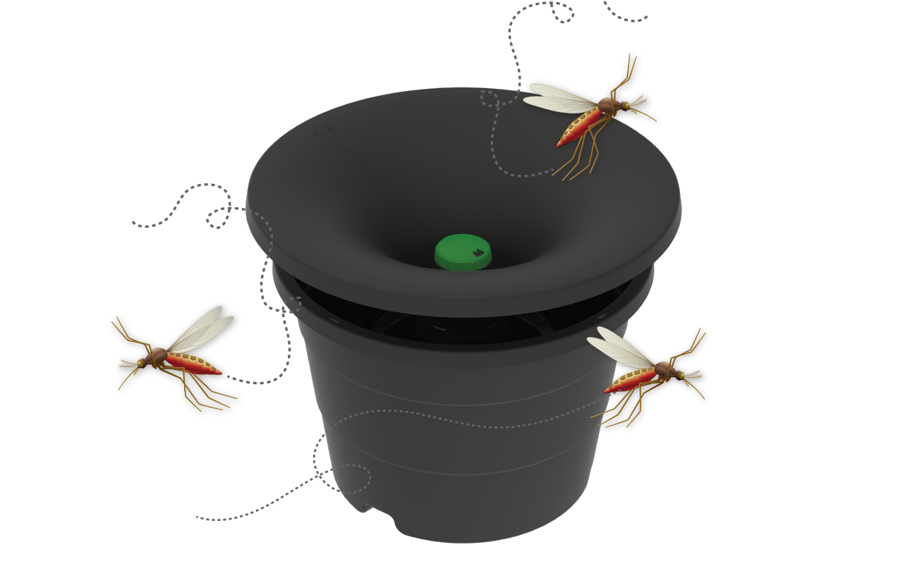 in2care mosquito trap