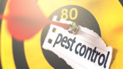 pest control services