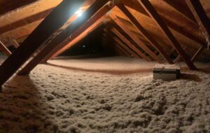 eco-friendly attic insulation